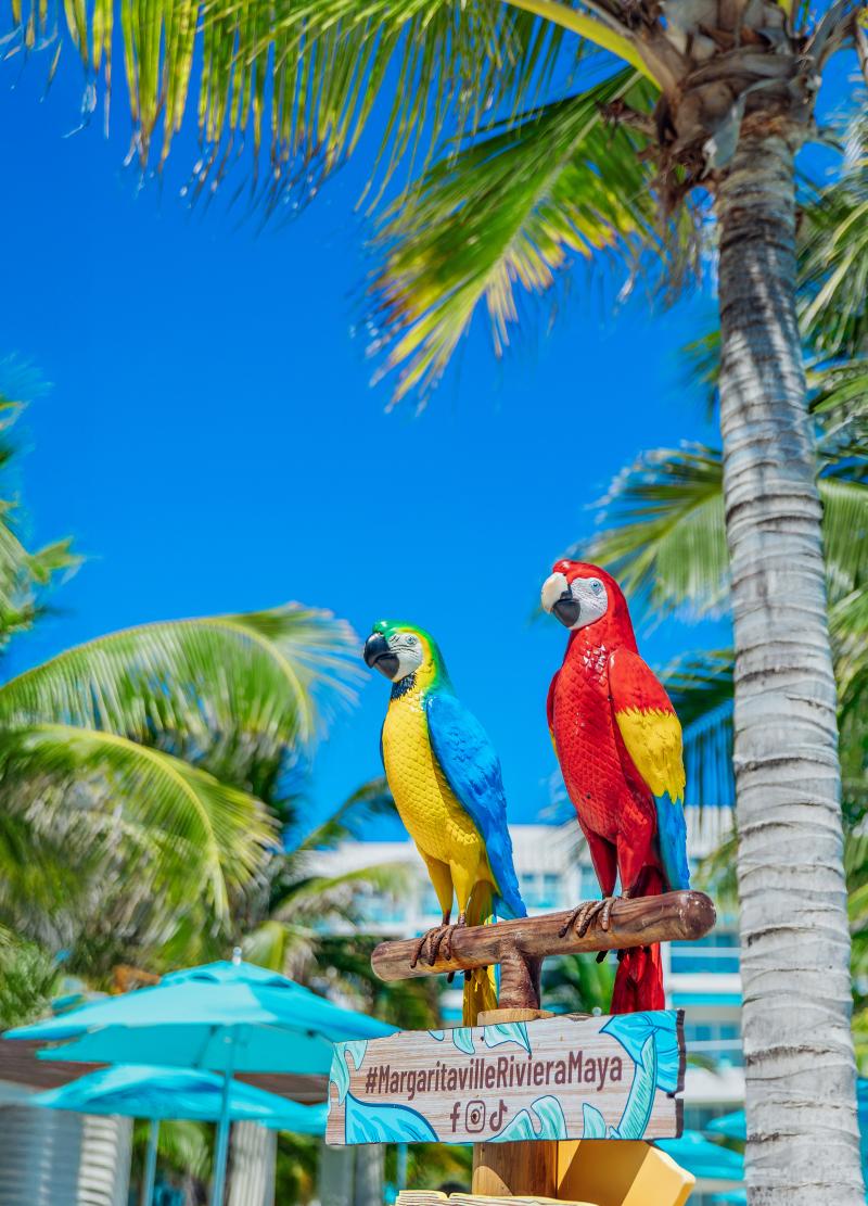 Margaritaville Island Reserve Riviera Maya